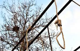 Ziguinchor : Un enseignant retrouvé mort pendu sur un arbre
