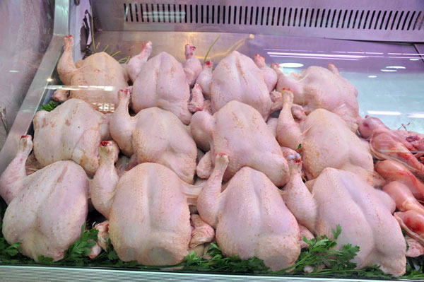 Korité 2021: Un déficit de 10% de la demande en poulets noté
